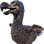 DODO logo